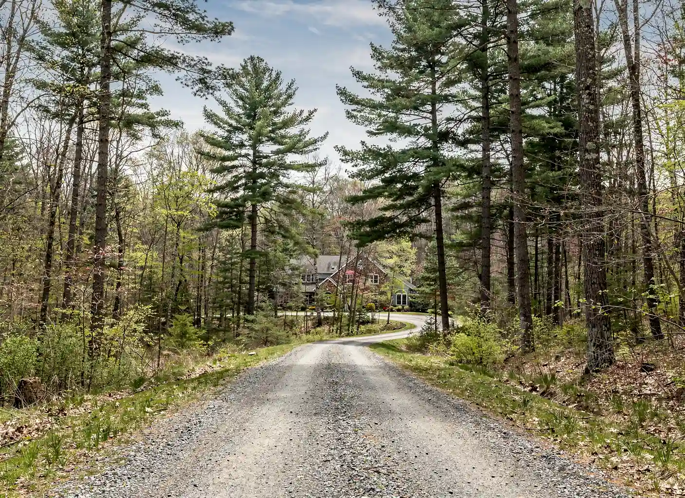 Wooded Wolcott property with tall pines and hardwoods
